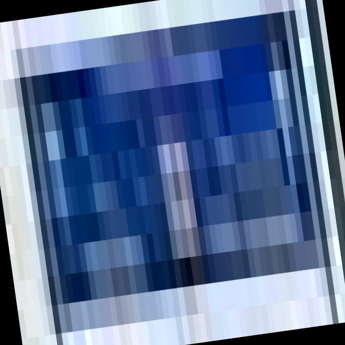 Dataset Image