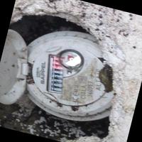 Dataset Image
