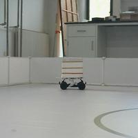 Dataset Image