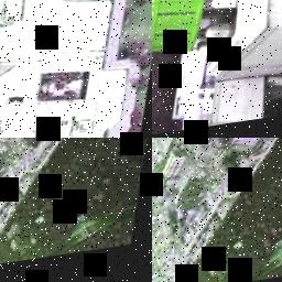 Dataset Image