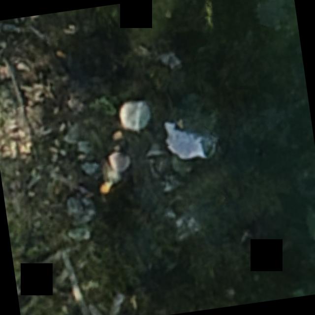 Dataset Image