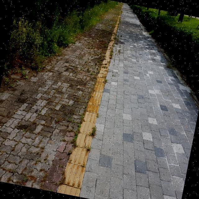 Dataset Image