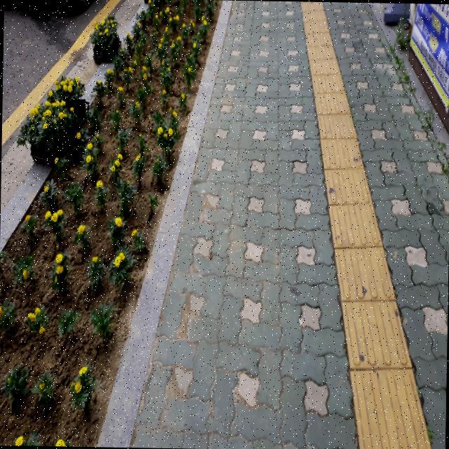 Dataset Image