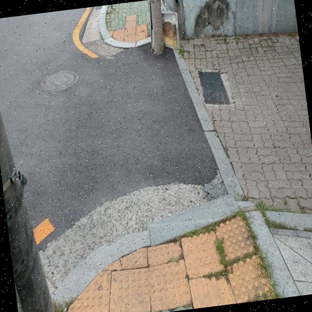 Dataset Image