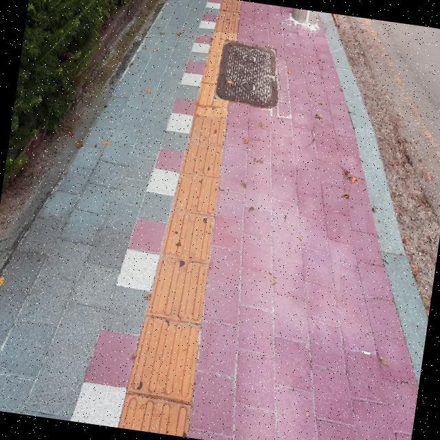Dataset Image