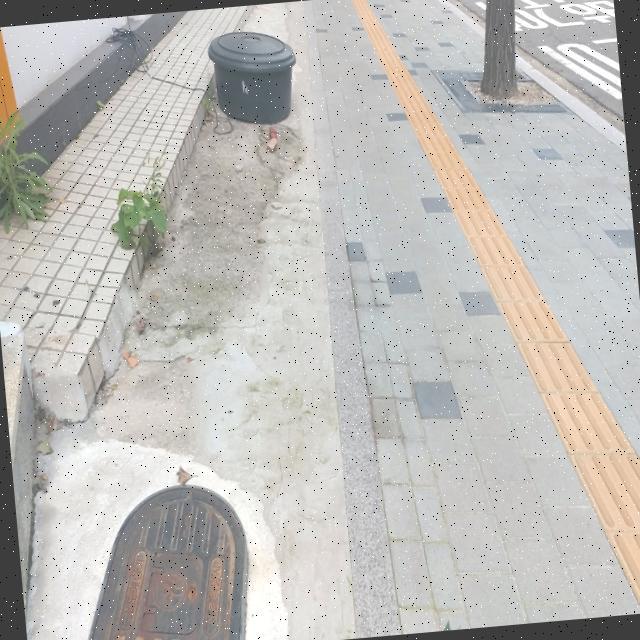 Dataset Image