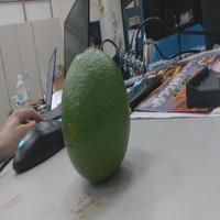 Dataset Image