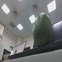 Dataset Image