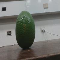 Dataset Image