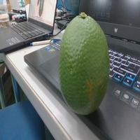 Dataset Image