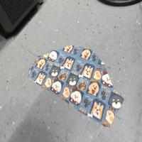 Dataset Image