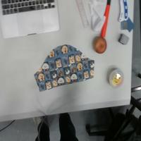 Dataset Image