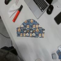 Dataset Image