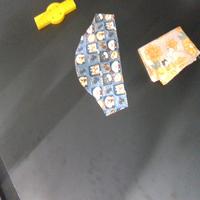 Dataset Image