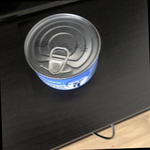 Dataset Image