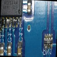 Dataset Image