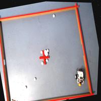 Dataset Image