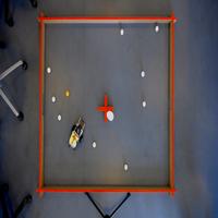 Dataset Image