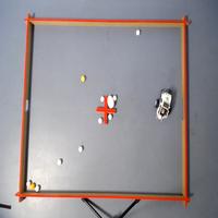 Dataset Image
