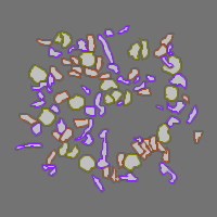 Annotation Visualization