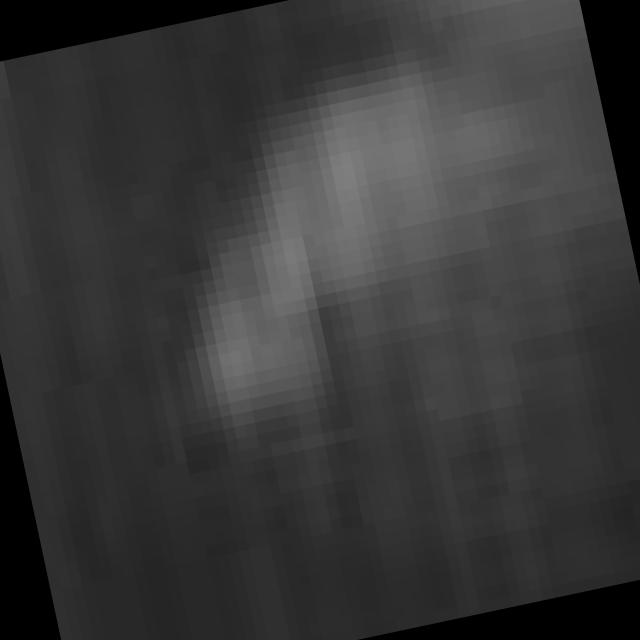 Dataset Image