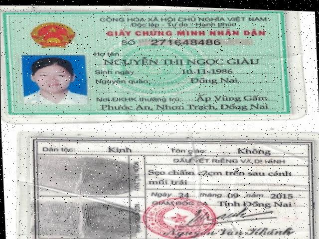 Dataset Image
