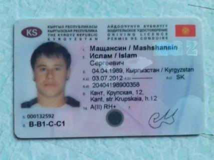 Dataset Image