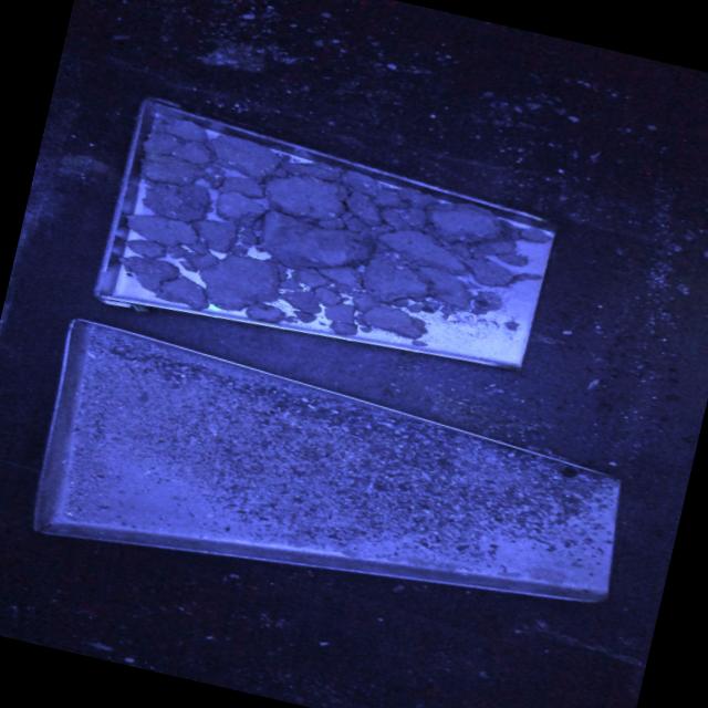 Dataset Image