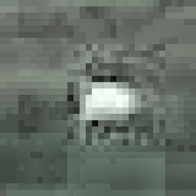 Dataset Image