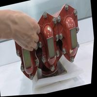 Dataset Image