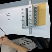 Dataset Image