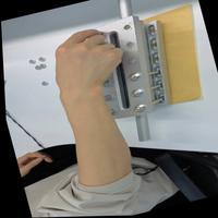 Dataset Image