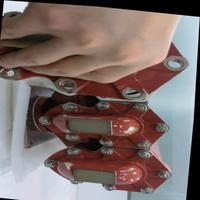 Dataset Image
