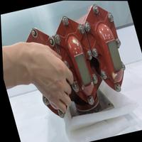 Dataset Image