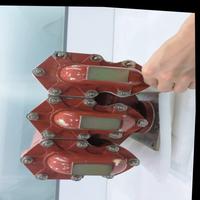 Dataset Image