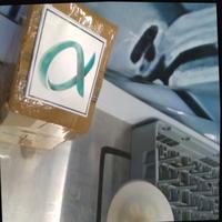 Dataset Image