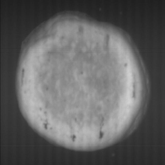 Dataset Image