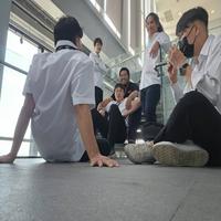 Dataset Image