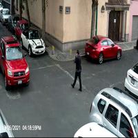 Dataset Image