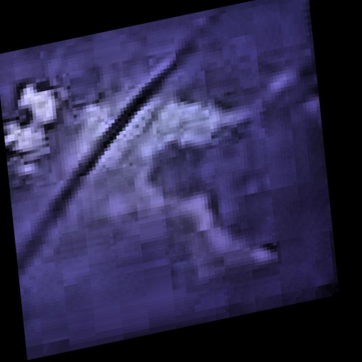 Dataset Image