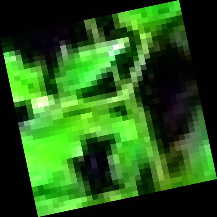 Dataset Image