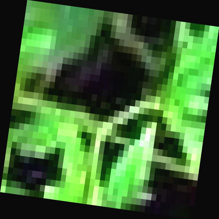 Dataset Image