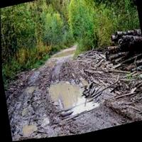Dataset Image