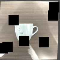 Dataset Image