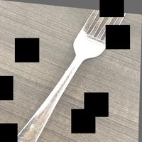Dataset Image