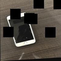 Dataset Image