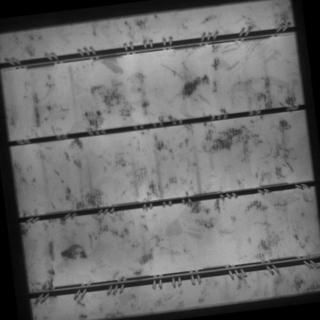 Dataset Image