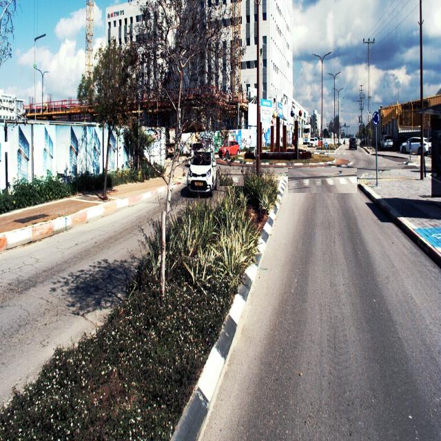 Dataset Image