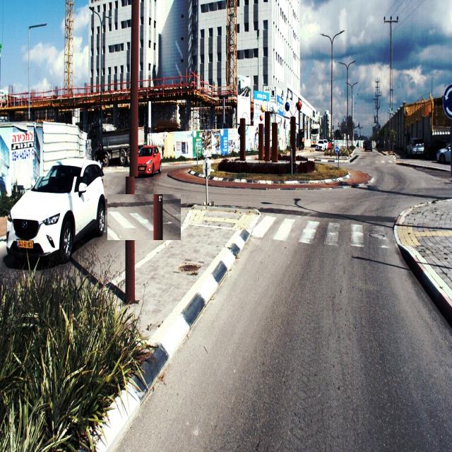 Dataset Image
