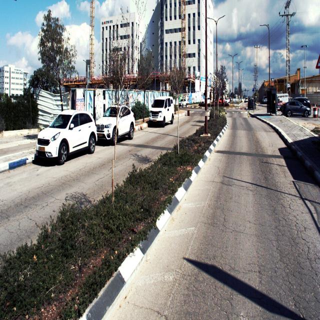 Dataset Image
